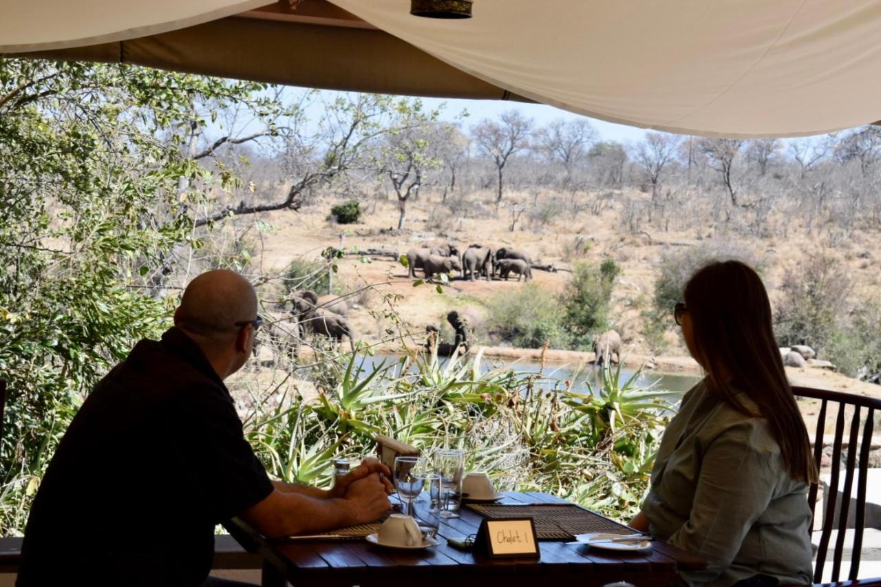 Milima Big 5 Safari Lodge Hoedspruit Exteriér fotografie