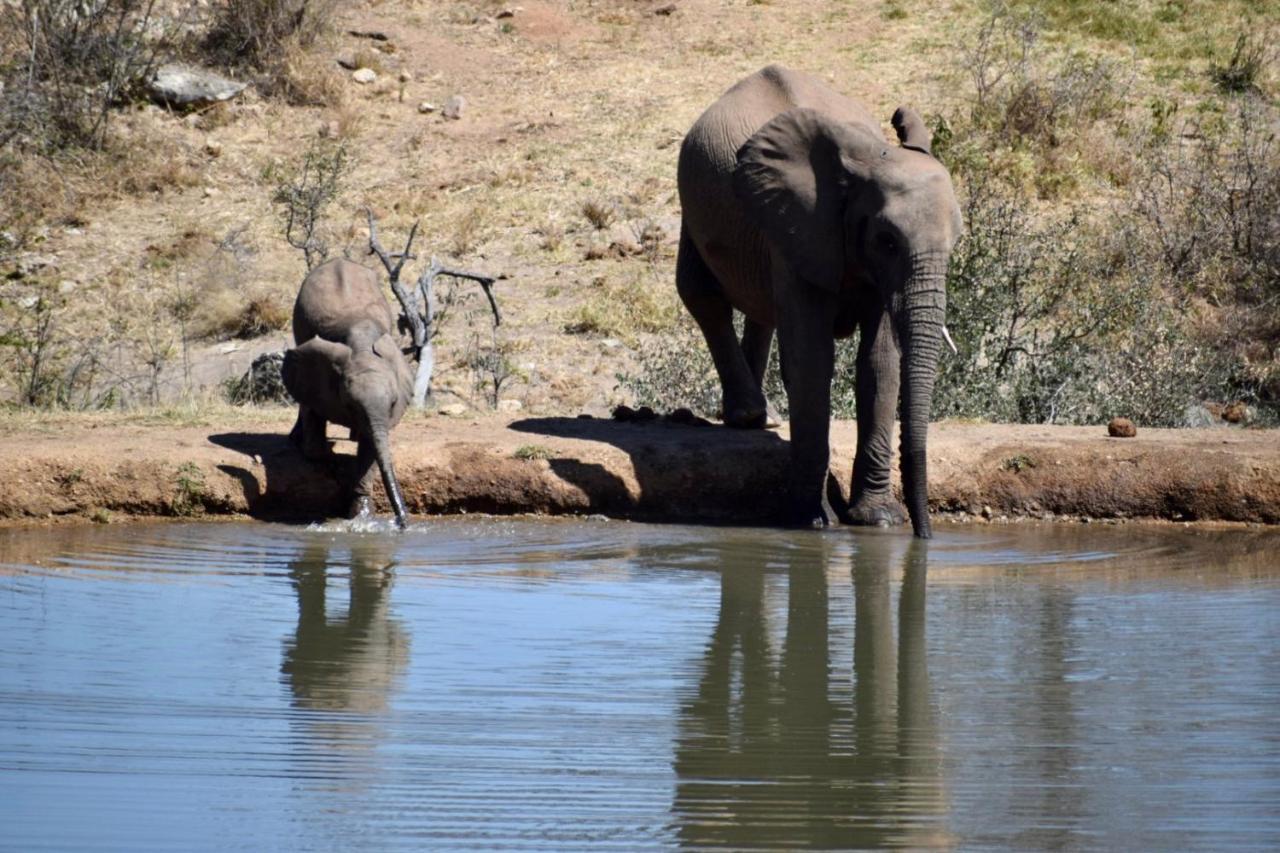 Milima Big 5 Safari Lodge Hoedspruit Exteriér fotografie